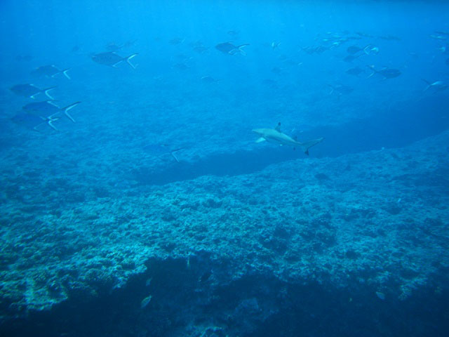 08-085